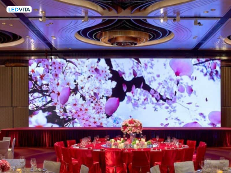 Ứng dụng phát trực tiếp từng khoảnh khắc