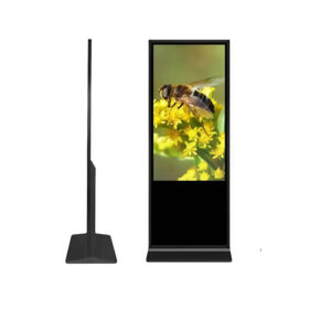 Màn hình quảng cáo chân đứng 65 inch